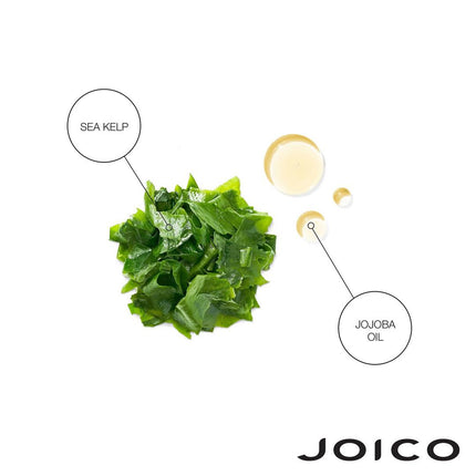 Joico Moisture Recovery Shampoo